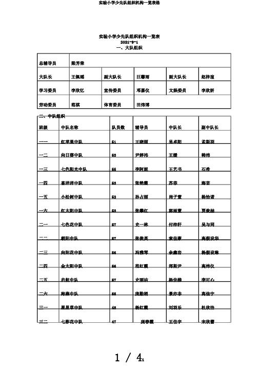 实验小学少先队组织机构一览表格