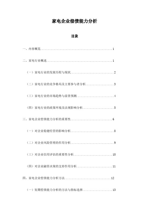 家电企业偿债能力分析