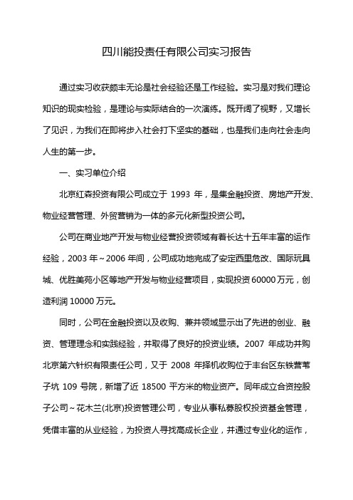 四川能投责任有限公司实习报告