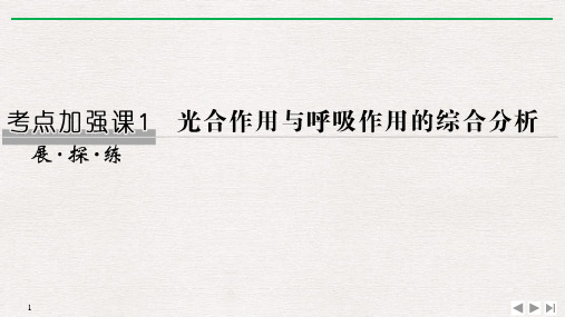 新高考2020生物选考总复习考点1 光合作用与呼吸作用的综合分析