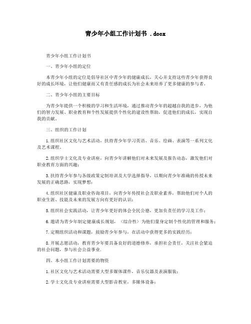 青少年小组工作计划书 .docx