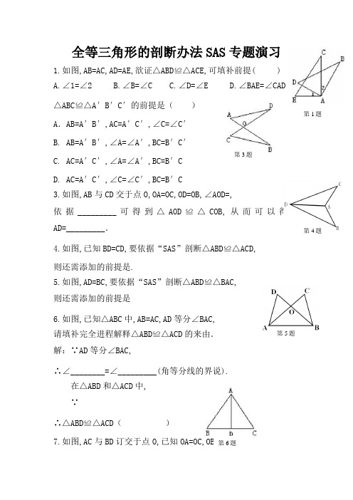 全等三角形SAS专题练习