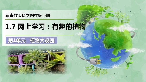 2024新粤教版科学四年级下册第1单元 植物大观园《网上学习：有趣的植物》优质课件