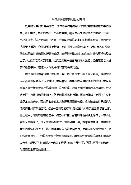 哈克贝利费恩历险记