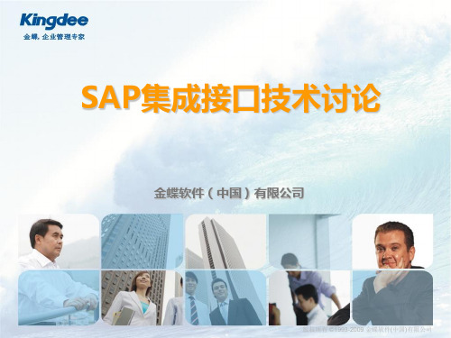 SAP集成技术接口