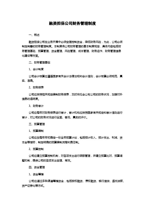 融资担保公司财务管理制度