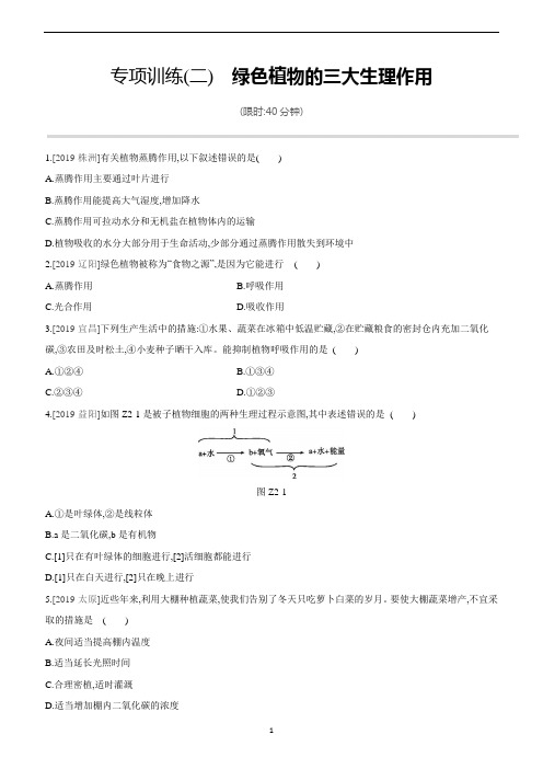 2020年生物中考专项训练(02) 绿色植物的三大生理作用