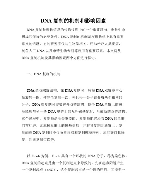 DNA复制的机制和影响因素