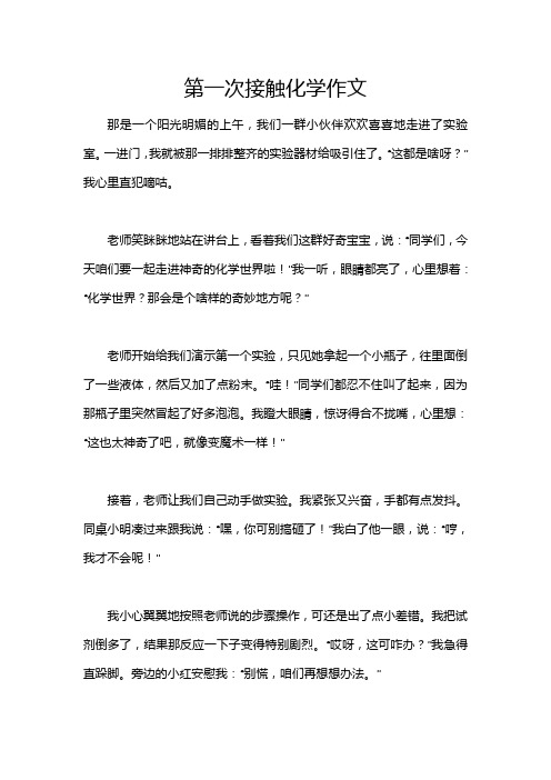 第一次接触化学作文