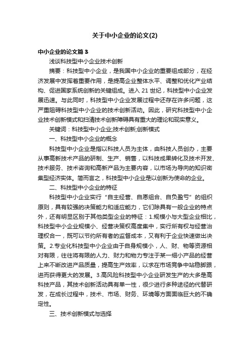 关于中小企业的论文（2）