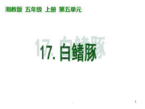 五年级语文白鳍豚(2019年9月)PPT课件