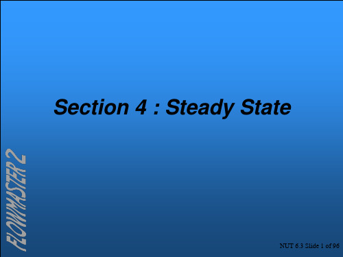 Section 4  Steady StateFlowmaster英文PPT的教程