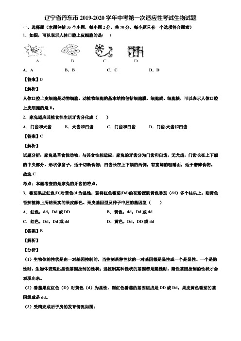 辽宁省丹东市2019-2020学年中考第一次适应性考试生物试题含解析