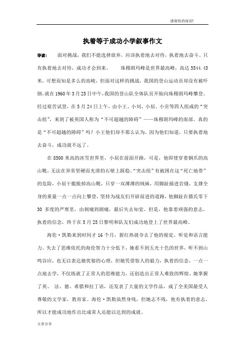 执着等于成功小学叙事作文