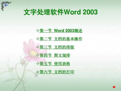 Word 2003 教案