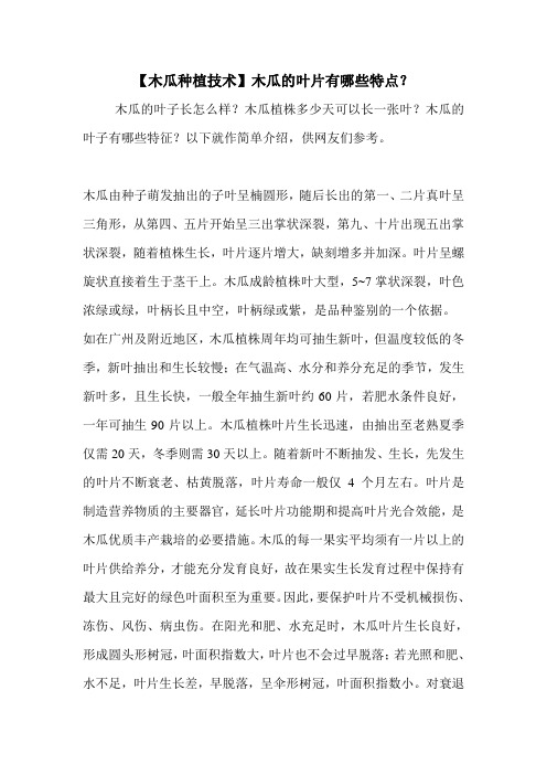【木瓜种植技术】木瓜的叶片有哪些特点?