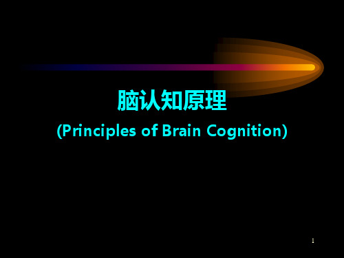 脑认知原理――脑与认知概述PPT课件