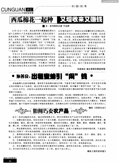 西瓜棉花一起种 又增收来又赚钱