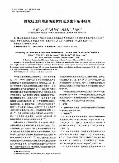 白蚁肠道纤维素酶菌株筛选及生长条件研究