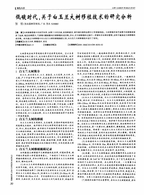 低碳时代,关于白玉兰大树移植技术的研究分析