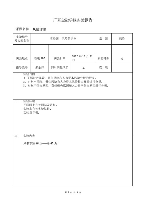 【免费下载】朱金伟  风险评估报告