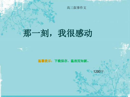 高三叙事作文《那一刻,我很感动》1200字