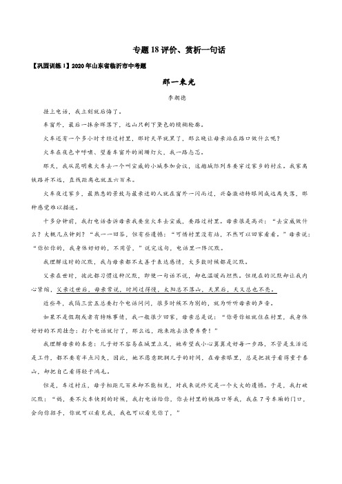 初中语文能力提升训练-18 评价、赏析一句话(习题)(解析版)