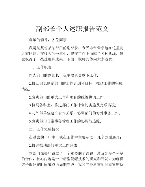 副部长个人述职报告范文