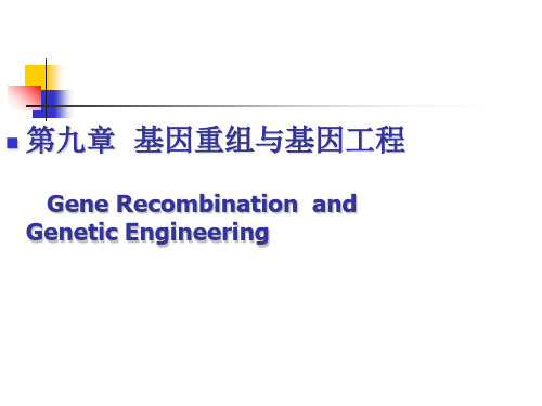 第九章+基因工程共41页