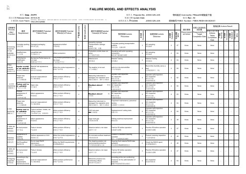 FMEA英文模板