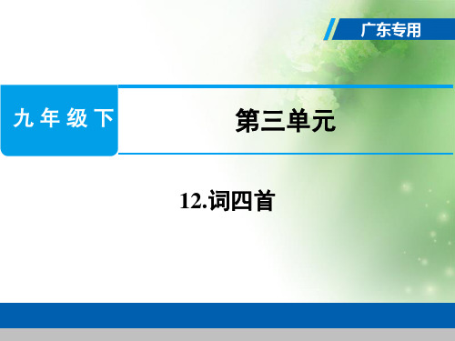 人教部编版九年级语文下册课件：12.词四首 (共23张PPT)(优质版推荐)