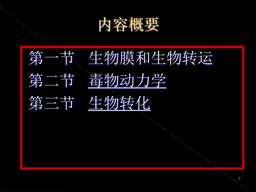 第二章  外源化学物在体内的生物转运和生物转化(1)_PPT幻灯片