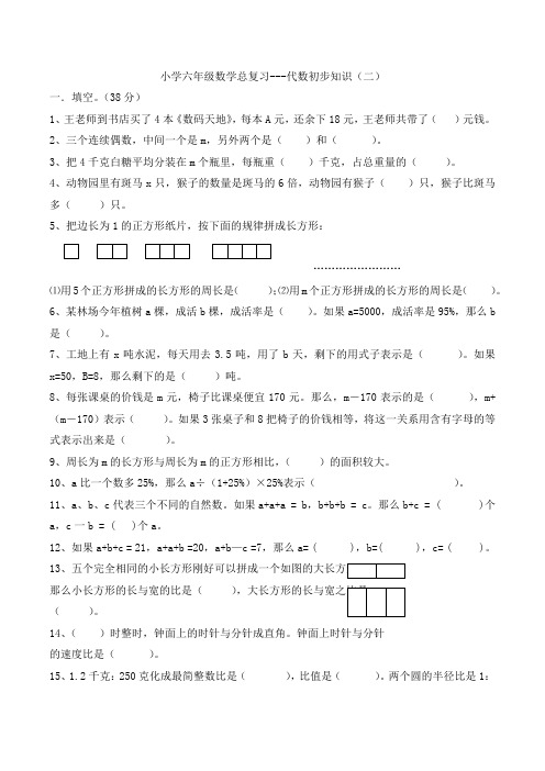 小学六年级数学总复习---代数初步知识(二)