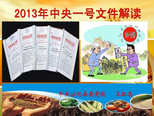 2013中央一号文件成稿