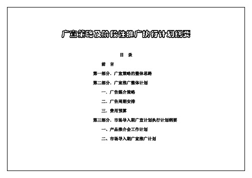 广宣策略及阶段性推广执行计划纲要