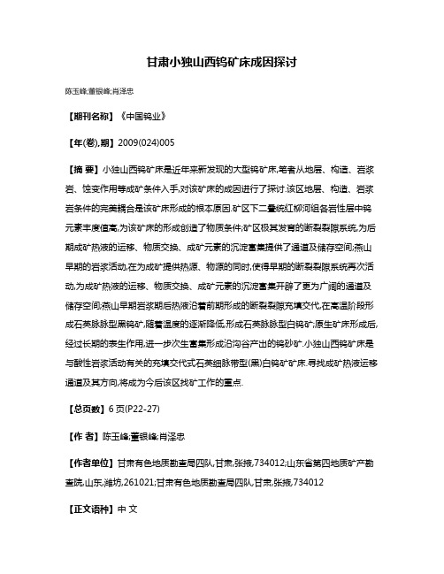 甘肃小独山西钨矿床成因探讨