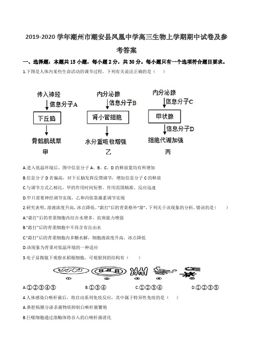 2019-2020学年潮州市潮安县凤凰中学高三生物上学期期中试卷及参考答案