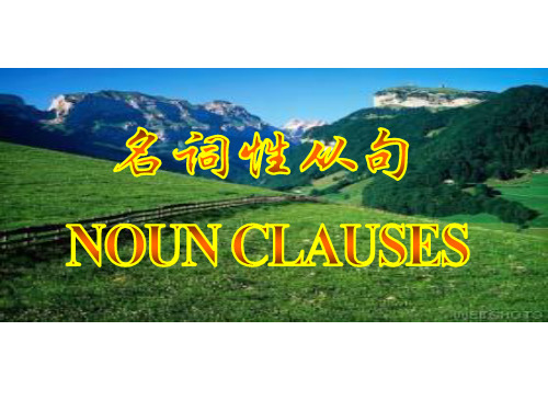 主语从句(全部)