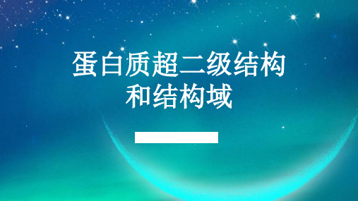 3.5 蛋白质超二级结构和结构域