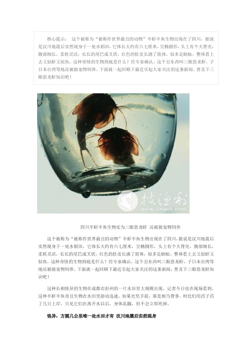 四川半虾半鱼生物实为三眼恐龙虾 还被做宠物饲养