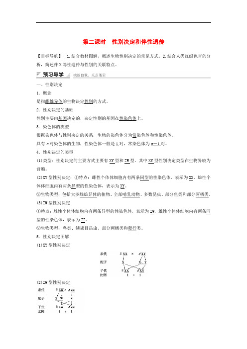 高中生物 第三章 遗传和染色体 第二节 基因的自由组合定律(第2课时)性别决定和伴性遗传课时作业 苏