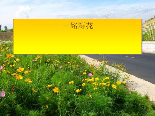 《一路鲜花》PPT课件2
