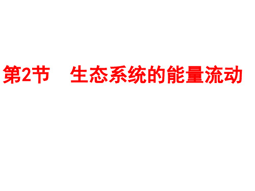 生态系统的能量流动  课件