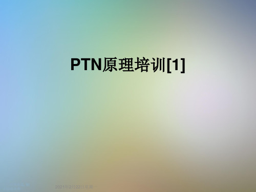 PTN原理培训[1]