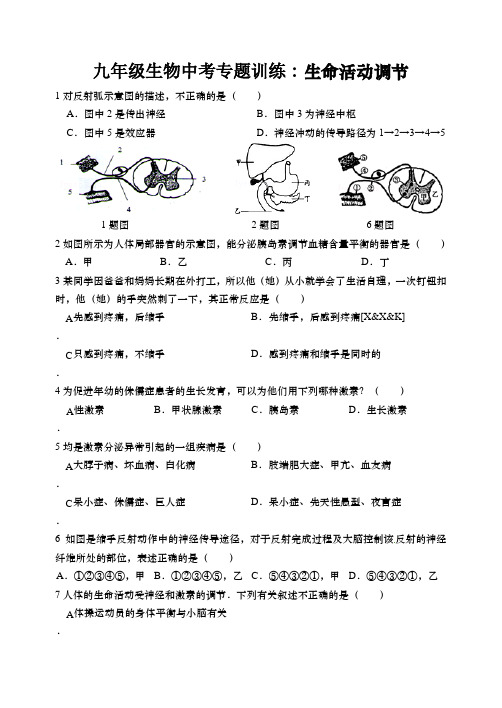 2021学年八年级生物中考专题生命活动调节训练