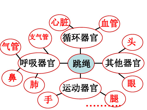 四年级上册科学课件-4.7相互协作的人体器官 教科版(共18张PPT)