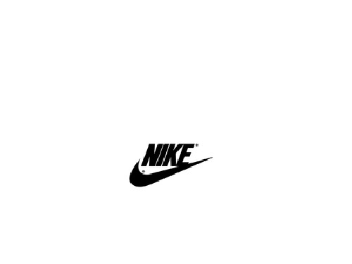 Nike公司供应链分析ppt课件