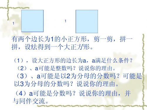 2.1 数怎么又不够用了 课件 4(北师大版八年级上)