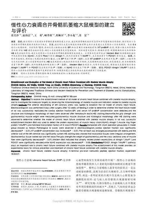 慢性心力衰竭合并骨骼肌萎缩大鼠模型的建立与评价