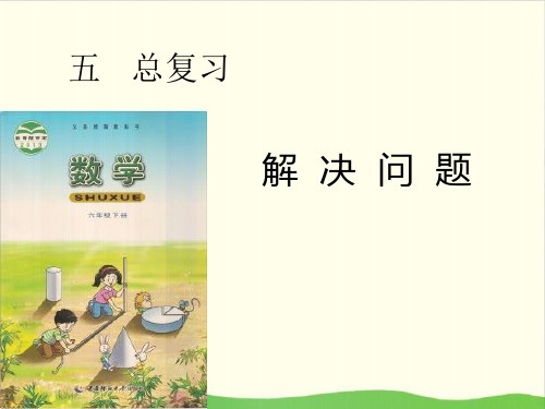 六年级下册数学课件 -《问题解决》 西师大版(共12张PPT)